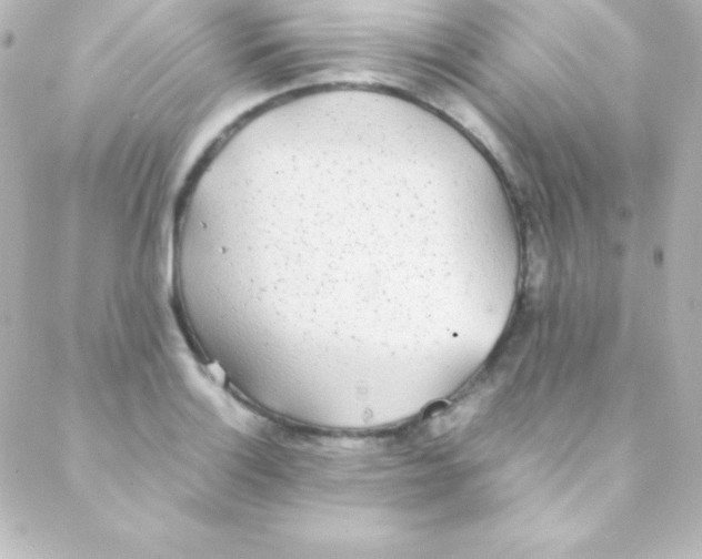 X0000088151132200705291416