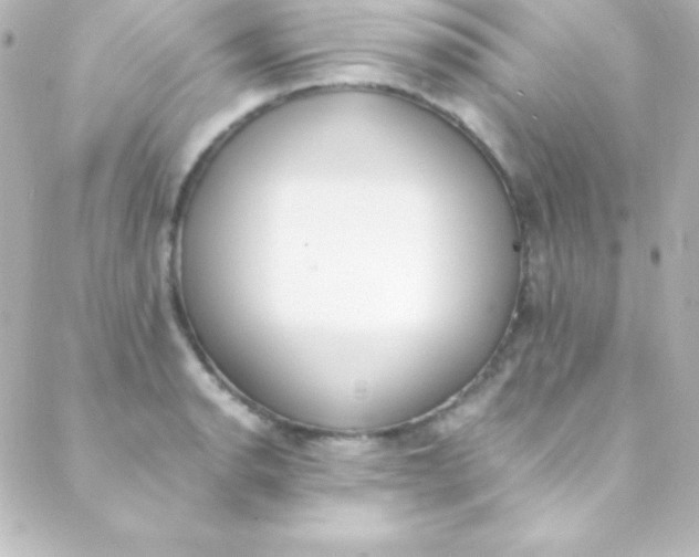 X0000088151134200705291416