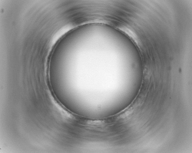 X0000088151135200705291416