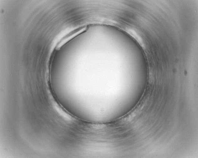 X0000088151136200705291416