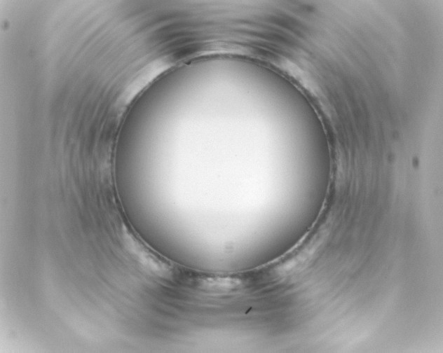 X0000088151137200705291416