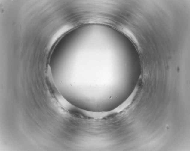 X0000088151138200705291416