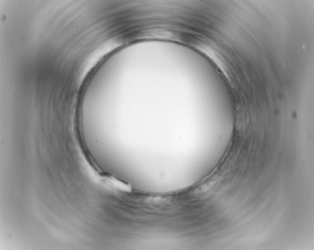 X0000088151139200705291416