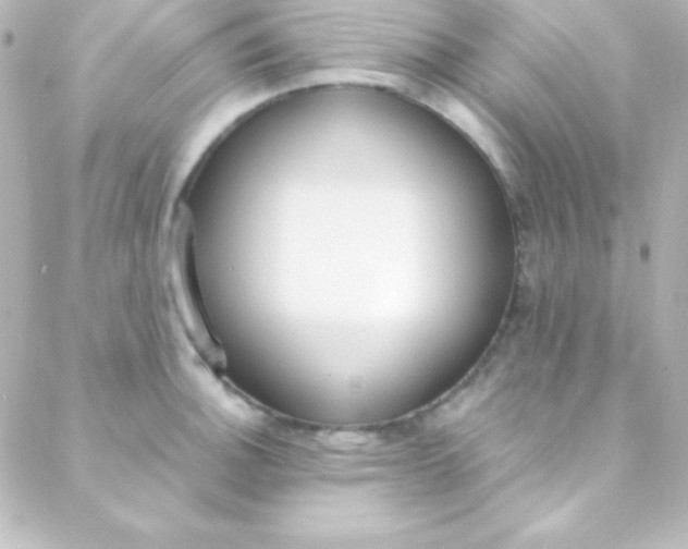 X0000088151140200705291416