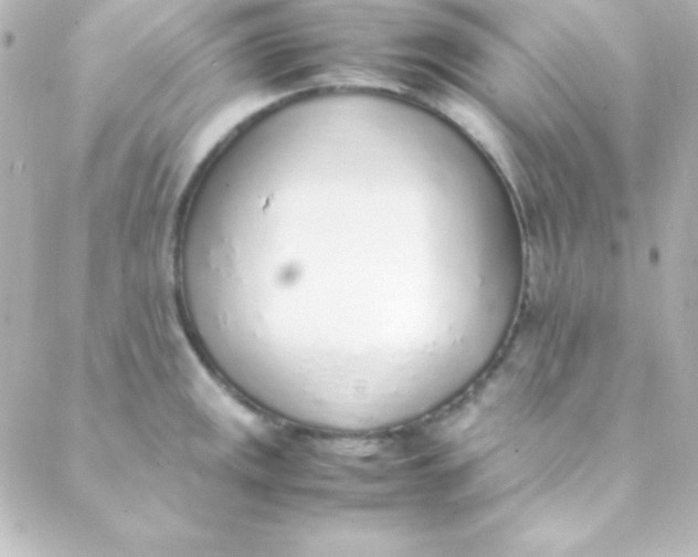 X0000088151141200705291416