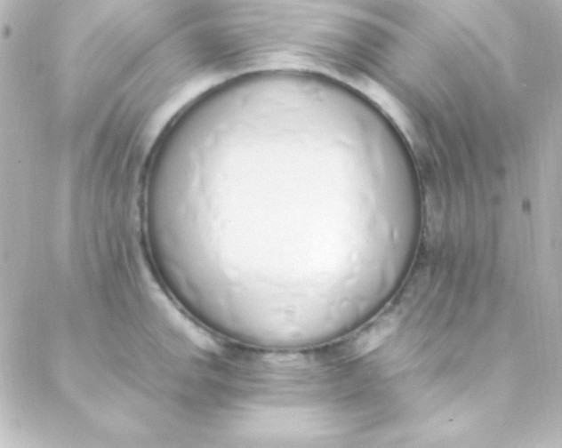 X0000088151142200705291416