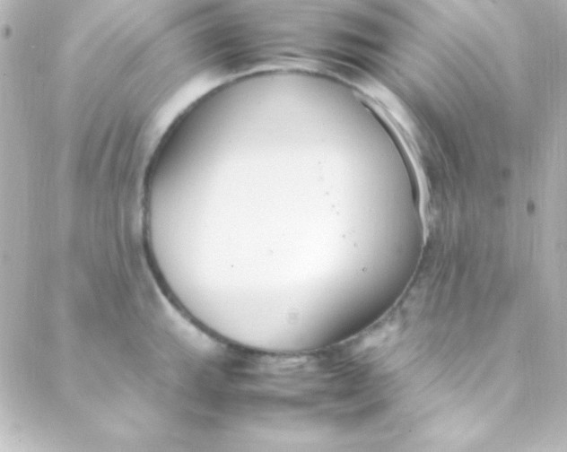 X0000088151143200705291416