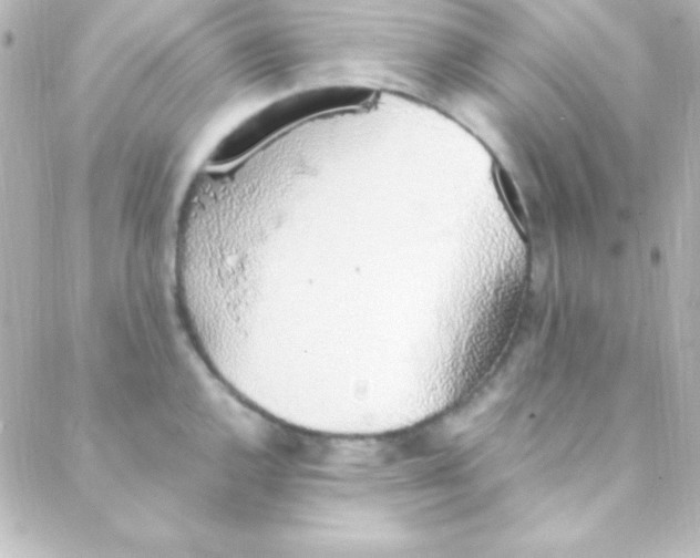 X0000088151144200705291416