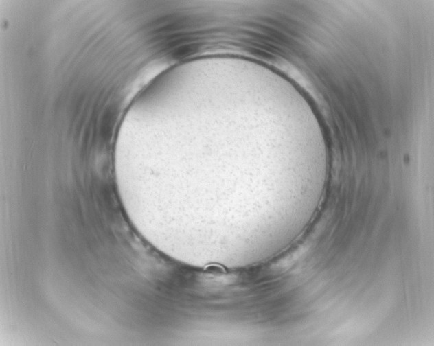 X0000088151145200705291416