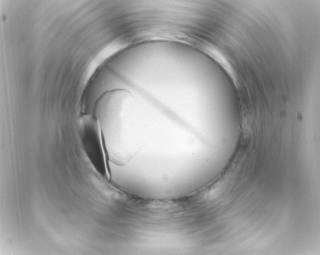 X0000088151146200705291416