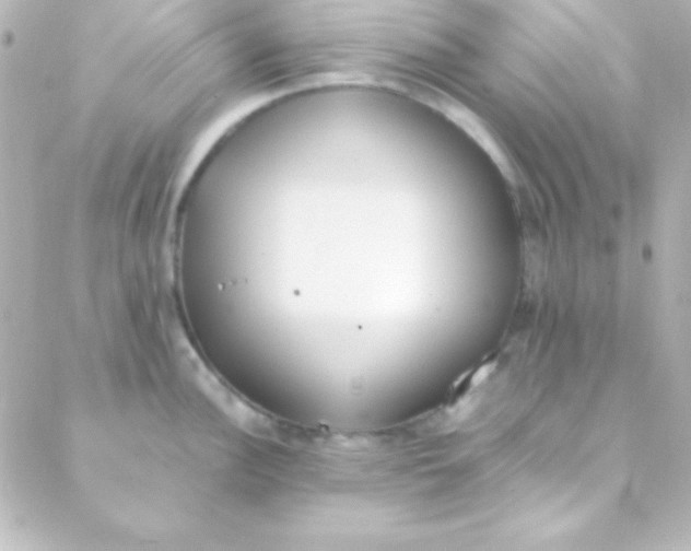 X0000088151148200705291416