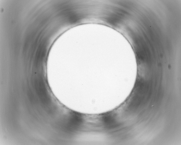 X0000088151150200705291416