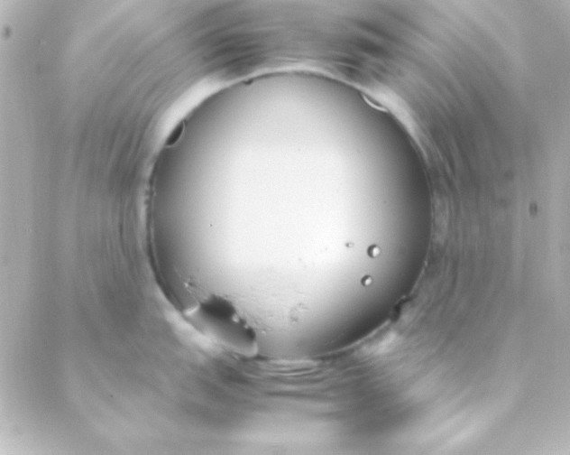 X0000088151151200705291416