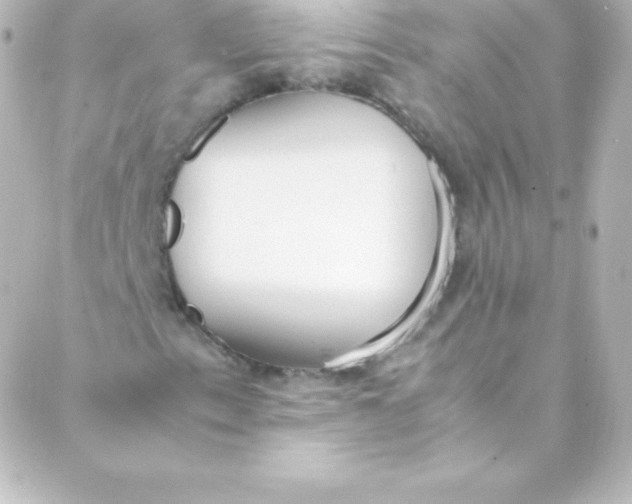 X0000088151153200705291415