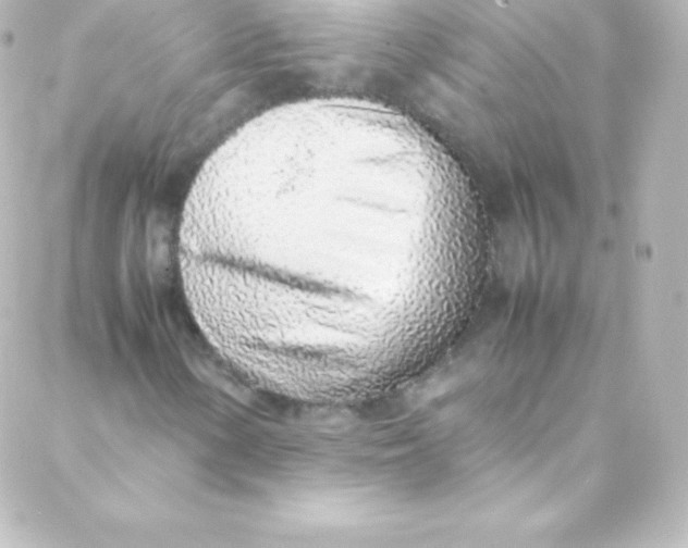 X0000088151154200705291415