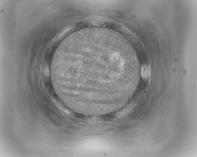 X0000088151155200705291415