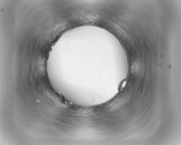 X0000088151156200705291415