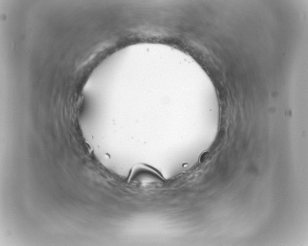 X0000088151157200705291415