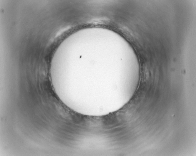 X0000088151158200705291415