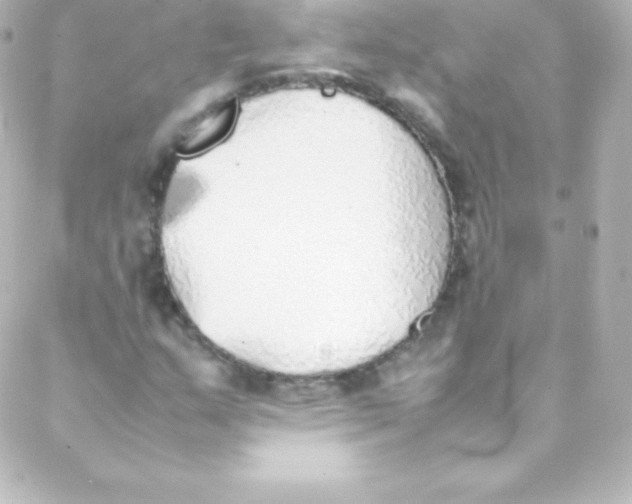 X0000088151159200705291415