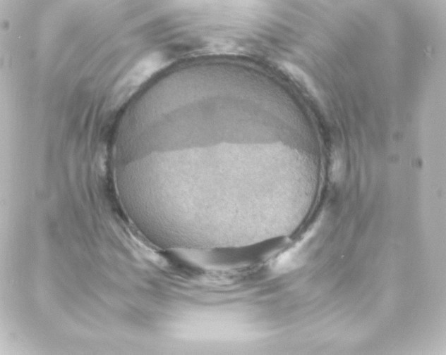 X0000088151161200705291415