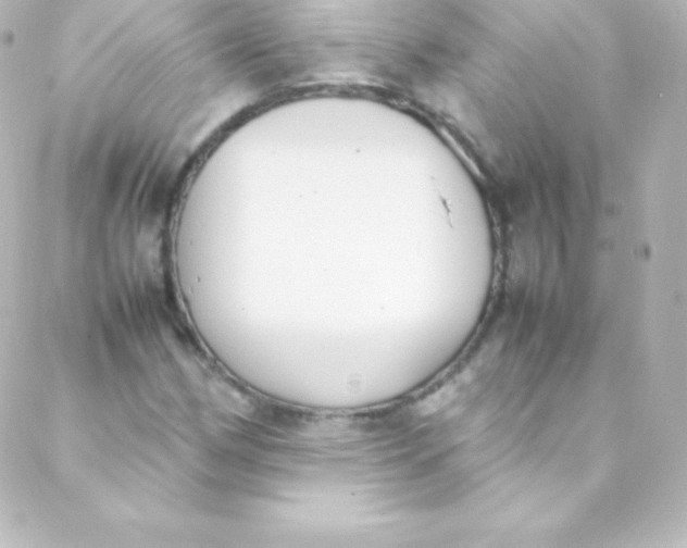 X0000088151162200705291415