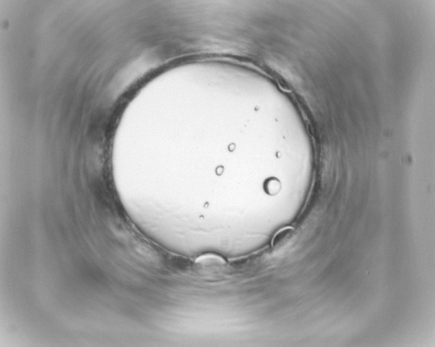 X0000088151163200705291415