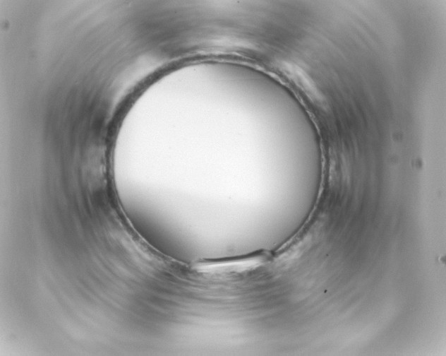 X0000088151164200705291415