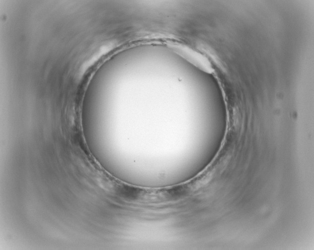 X0000088151165200705291415