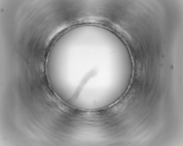 X0000088151166200705291415