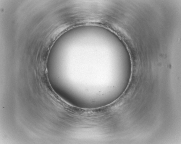 X0000088151169200705291415