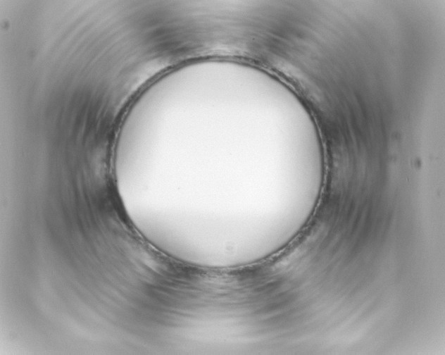 X0000088151170200705291415