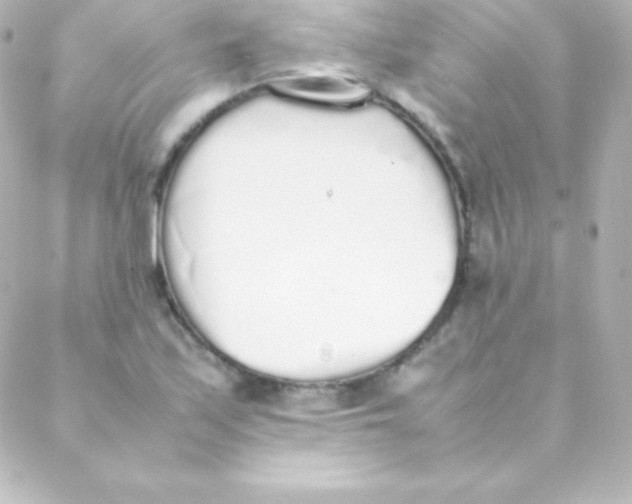 X0000088151171200705291415