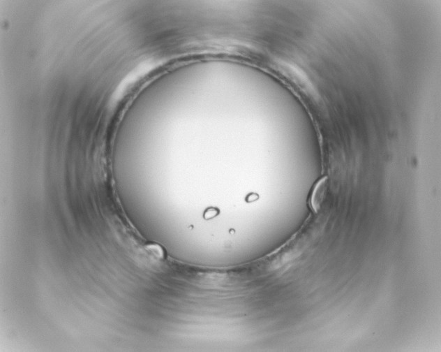 X0000088151172200705291415