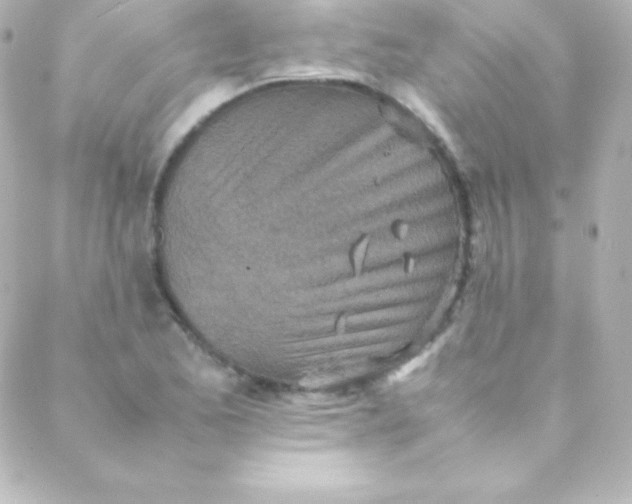 X0000088151173200705291415