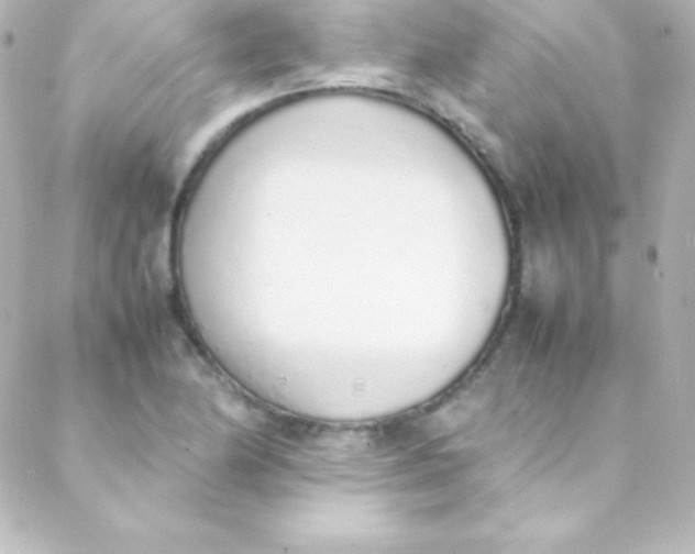 X0000088151174200705291415