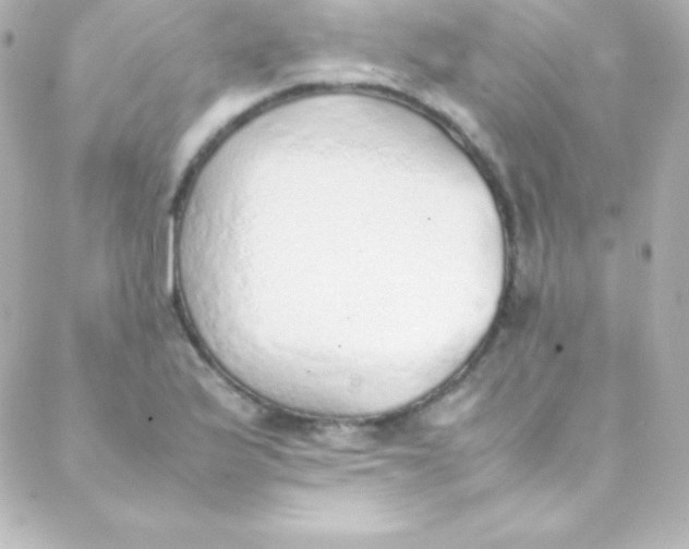 X0000088151175200705291415