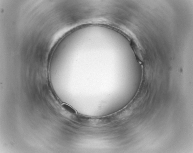 X0000088151176200705291415