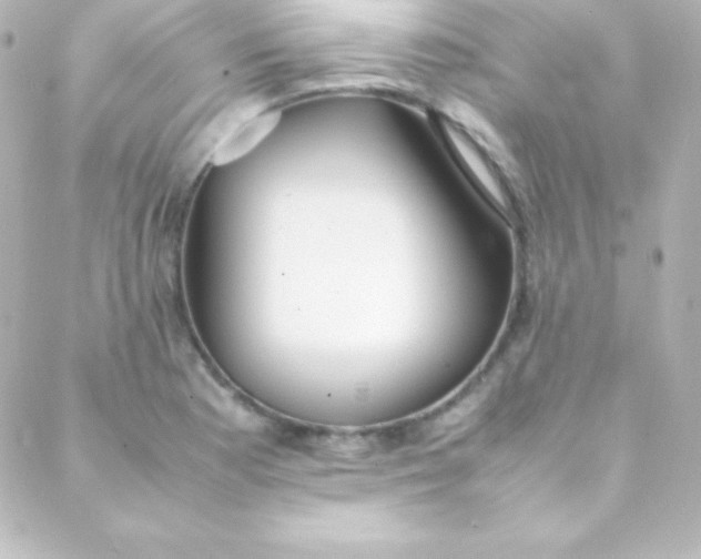 X0000088151177200705291415