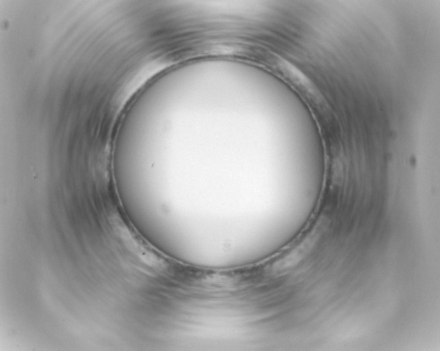 X0000088151178200705291415