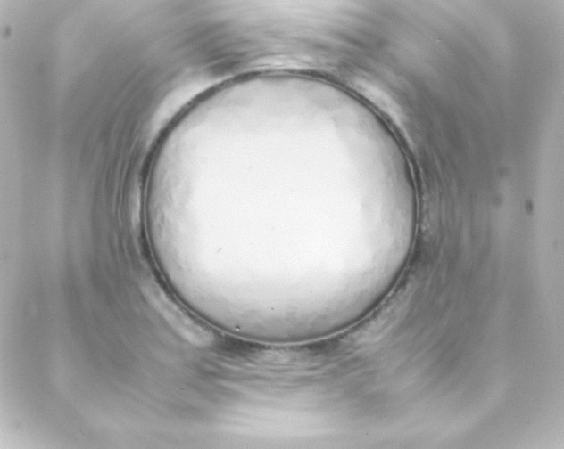 X0000088151179200705291415