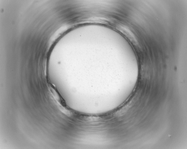 X0000088151180200705291415