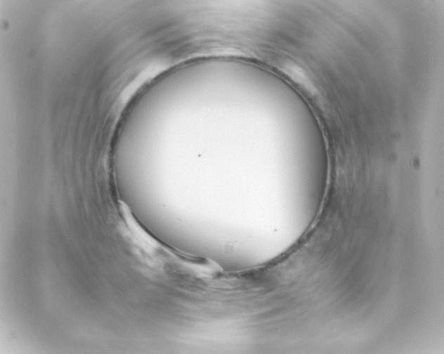 X0000088151181200705291415