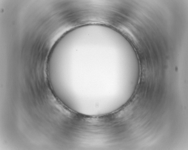 X0000088151182200705291415