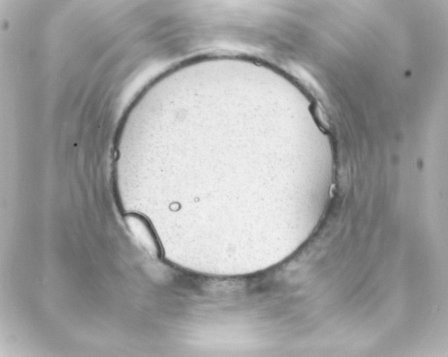 X0000088151183200705291415