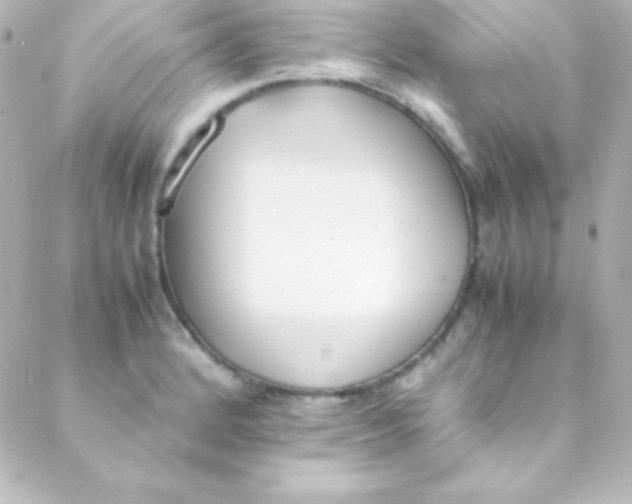 X0000088151184200705291415