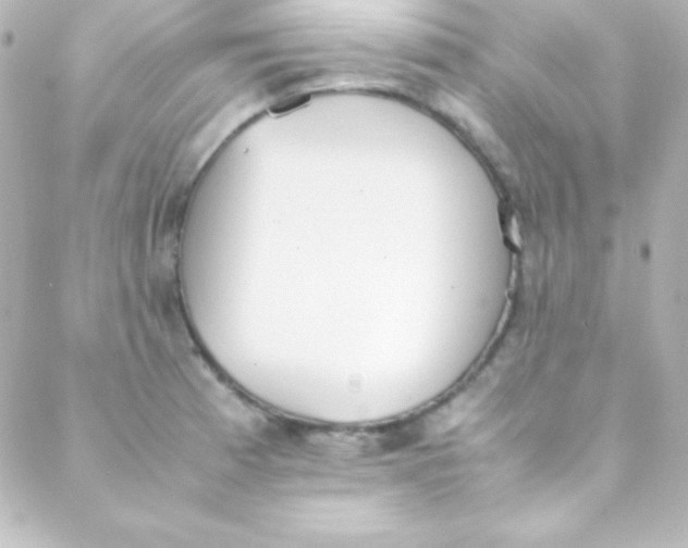 X0000088151185200705291415