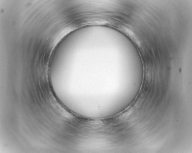 X0000088151186200705291415