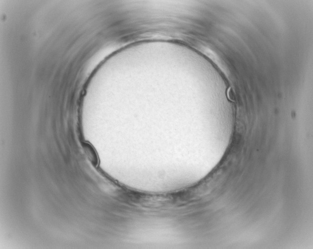 X0000088151187200705291415