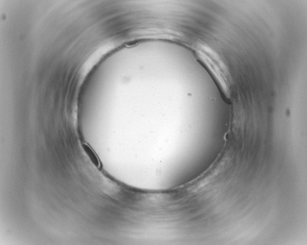 X0000088151188200705291415